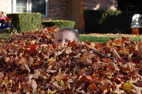 Jumping in the leaves