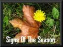 signs of season