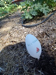 Watermelon Spoon Garden Marker