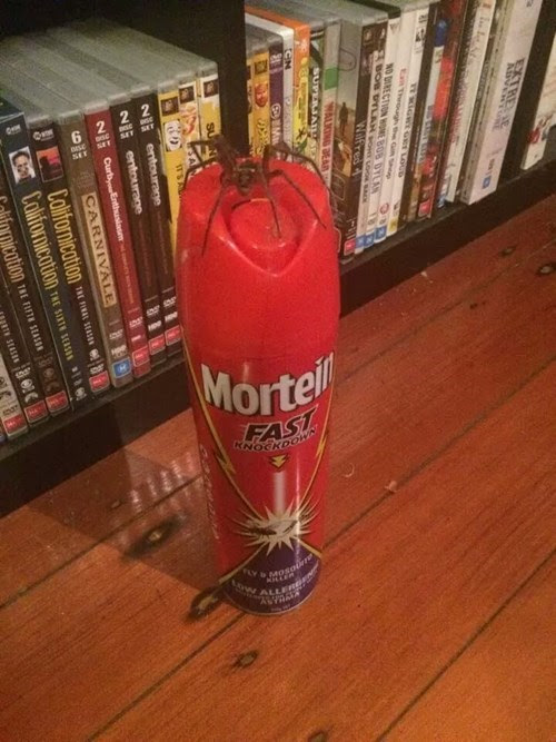 spiders,bug spray,spider,Kill It With Fire,irony,fail nation,g rated