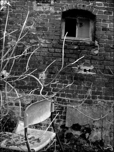 Photo ombre lumiere noir et blanc douce folie