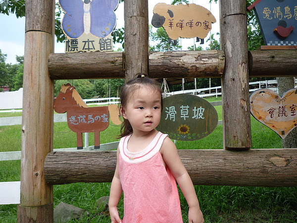 P1040224.JPG