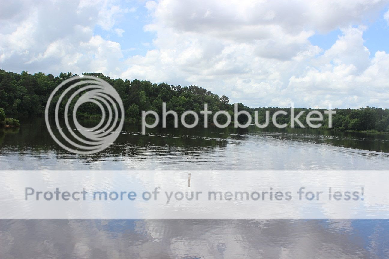  photo May41_zpsqaj2rrpf.jpg