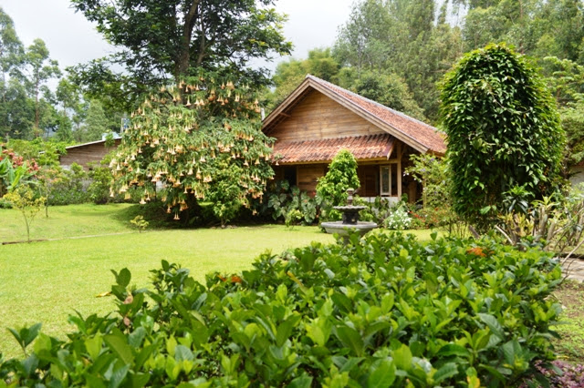 Wisata Kebun Mawar Situhapa (5)