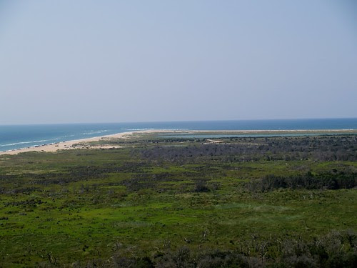 The View From the Top