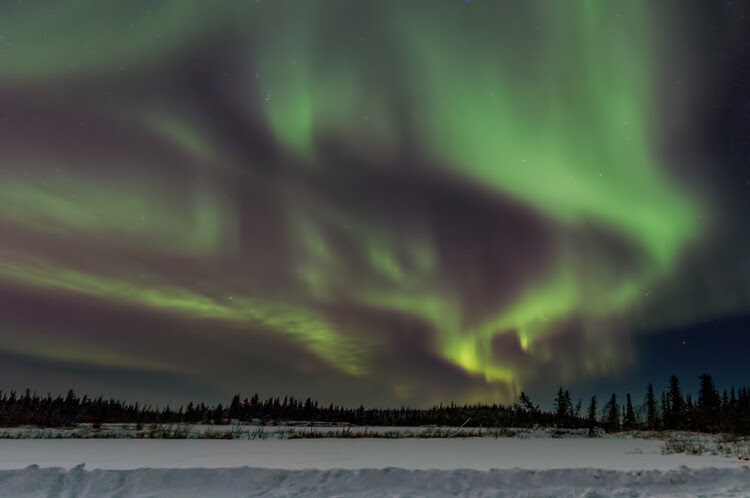 DPS Aurora Article Image 11