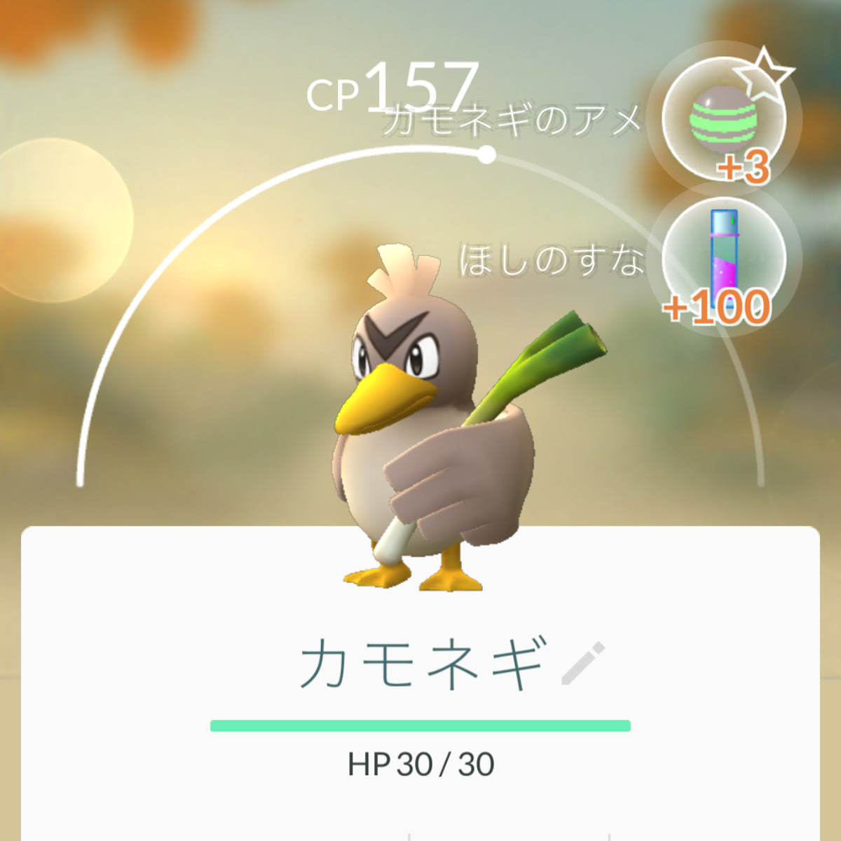 ポケモンgo アジア限定ポケモン カモネギ ゲットだぜ