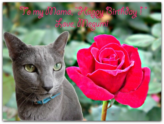 To my Mama, "Happy Birthday!