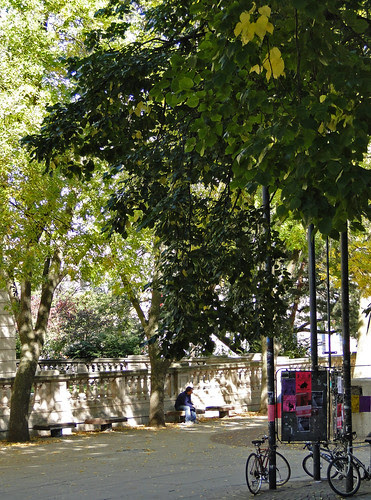 DSC04518