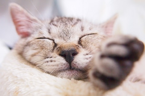 寝る 眠る の違い Xo Của Suchan