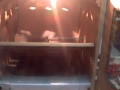 Incubadoras para pollos