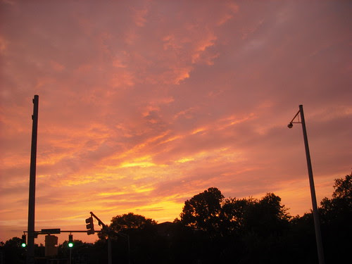 nashville summer 2011 080