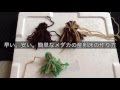 【ベストコレクション】 産卵床 メダカ 自作 489452-メダカ 産卵床 自作 毛糸