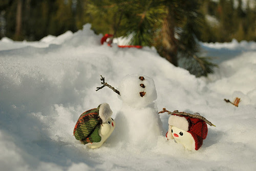 Snow Day