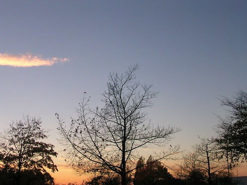 Autumn in Paderborn