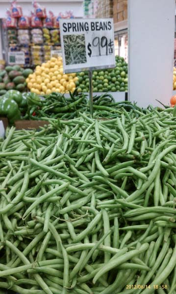 BeansBharta3 copy