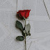 Aesthetic Wallpaper Pc Pinterest - Pin by zay💗 on wallpapers | Sunset wallpaper, Tumblr ... - A collection of the top 35 pinterest desktop wallpapers and backgrounds available for download for free.