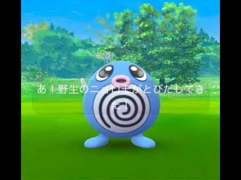 ポケモンｇｏ ニョロモ ニョロゾ ニョロトノ 進化 色違い ポケモンgo攻略newsまとめアンテナ