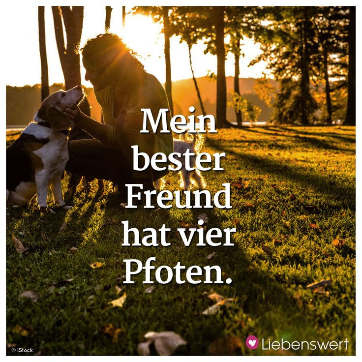 sprüche zum geburtstag chef