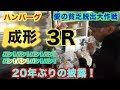[無料ダウンロード！ √] 愛の貧乏脱出大作戦 ハンバーグ 142137-愛の貧乏脱出大作戦 ハンバーグ ペンギン