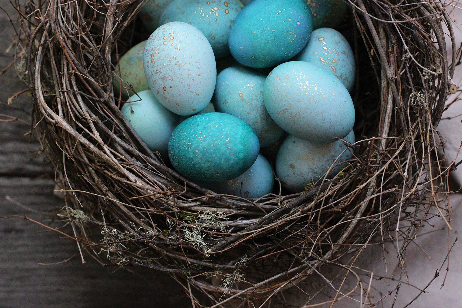 Diy Dyed Robin Eggs Honestlyyum