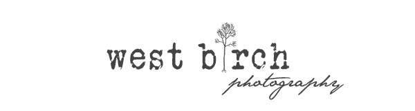 _24Aug2013-bloglogo