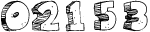 Web Site Visitor Counter