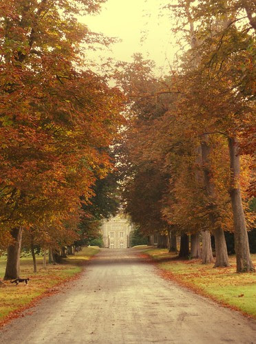 Autumn Leaves