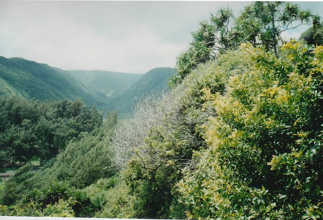 Pololū Valley