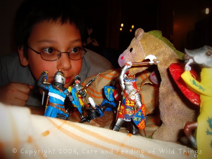 knights and dragons