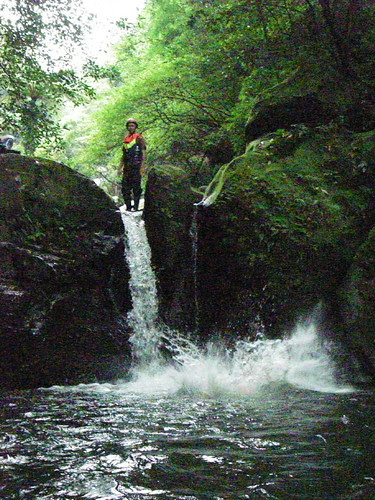 IMGP0733
