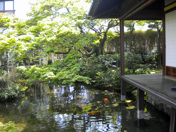 鯉の水辺路