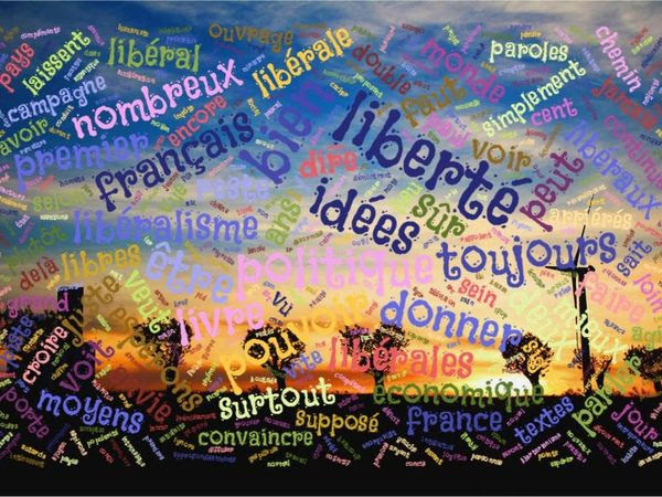  Qu'est-ce que la Liberté, où en sont les limites, comment peut-elle nous permettre de vivre mieux ? Libres ! ! "opus 2" est sorti, osez la Liberté.