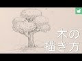 画像をダウンロード 木 イラスト 白黒 リアル 132842