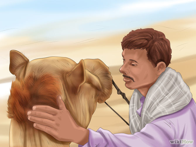 Care for a Camel Step 11 Version 3.jpg