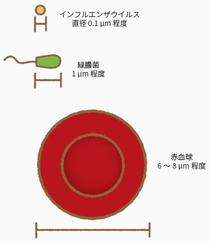 細菌とウイルス 感染症の基本 一般の方へ かしこく治して 明日につなぐ 抗菌薬を上手に使ってamr対策