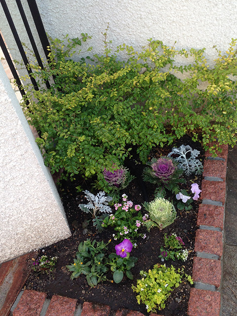 冬の花壇 日々是吉日 和歌山のエクステリア 植木屋さんの山樹