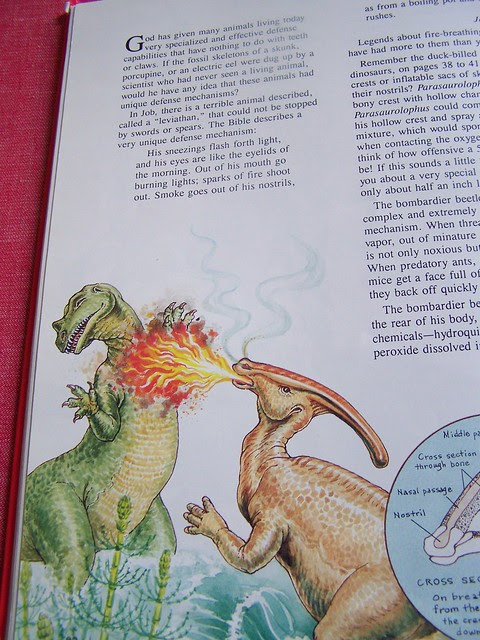 'Dinosaurs by Design' by Duane T. Gish