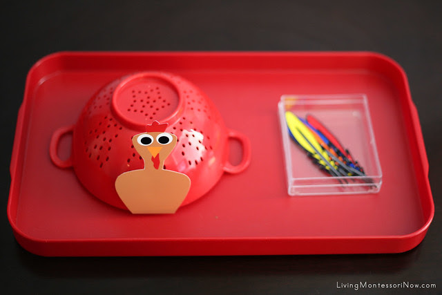 Turkey Practical LIfe and Color Matching Tray