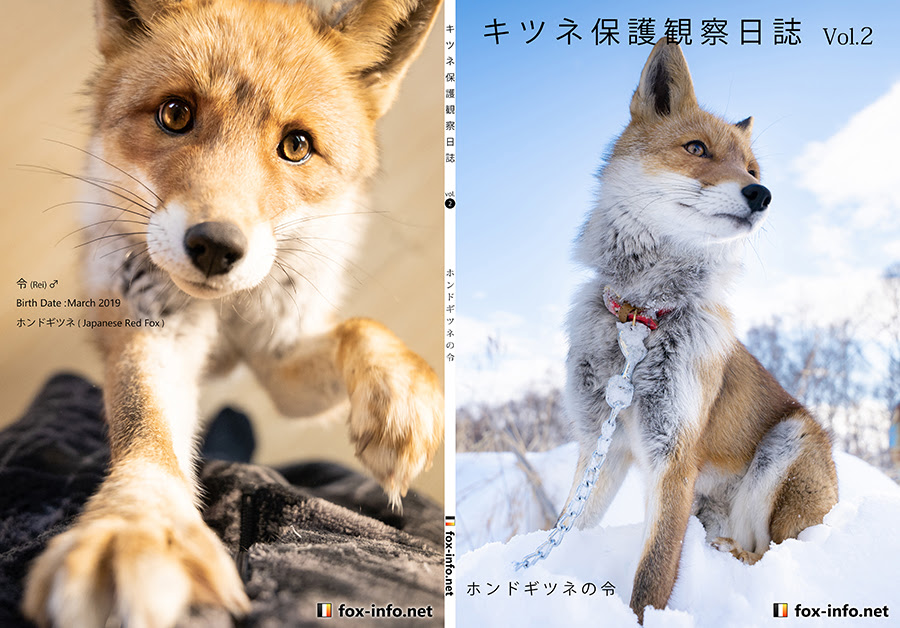 キツネ写真集 キツネ保護観察日誌 Vol 2 ホンドギツネの令 キツネグッズショップ キツネ写真館