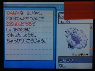 色キュウコン キラキラパウダー