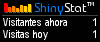 Visitas web