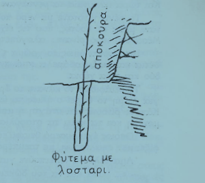 lostari
