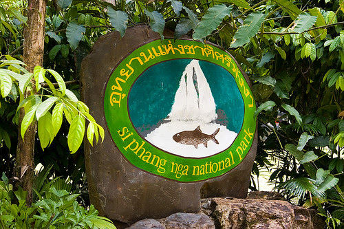 Last calendar week nosotros took a trip for a black to Khao Sok National Park Bangkok Thailand Place should to visiting: Sri Phang Nga National Park