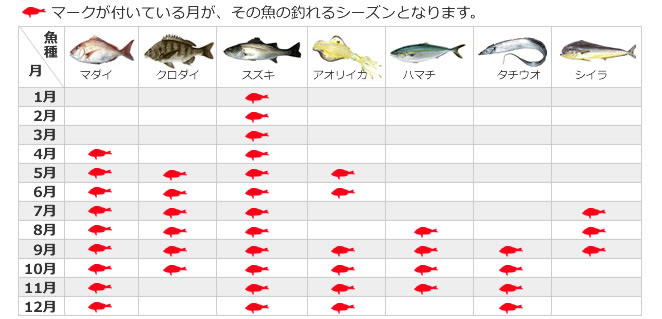 ジギング船は大阪 泉南の オーシャンスター Oceanstar ルアー釣りも