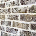 Limewash Vs Whitewash Vs German Smear / There are some significant differences.
