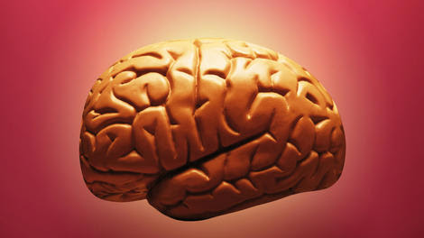 What's the secret to recovering lost memories? Light