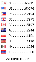 visitors by country counter