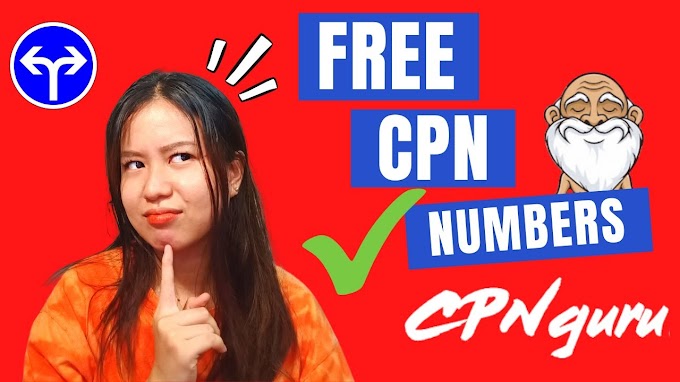 CPNGenerator - Credit Profile Numbers