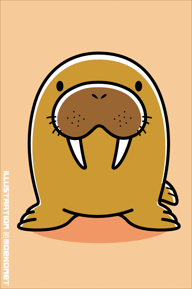 動物イラスト No 77 セイウチの口元はモチモチしている イラスト制作moekonet